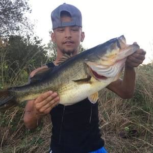 Meet your Posher, Ben